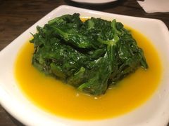 金汤豆苗-绿茶餐厅万锦 Green Tea Restaurant Markham
