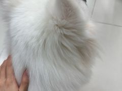 -怪兽屋·羊驼·猫咖·狗咖(俊华广场店)