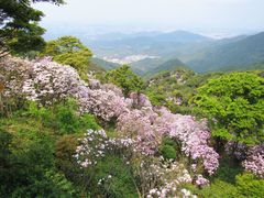 -梧桐山风景名胜区