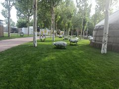 -九十九顶毡房(阜石路店)