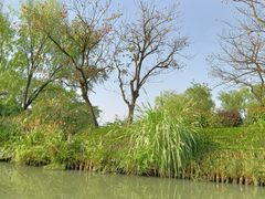 -西溪国家湿地公园