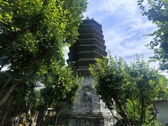 -正阳书局(西四南大街店)