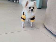 -怪兽屋·羊驼·猫咖·狗咖(俊华广场店)