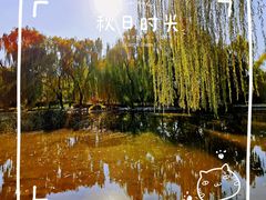 -玲珑塔公园