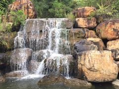 -广东花都湖国家湿地公园