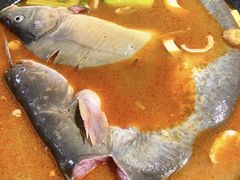 -肥鱼屯活鱼锅(惠工街店)