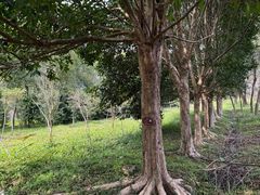 -福清灵石山国家森林公园