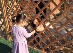 -萌宠亲子动物乐园(槐房万达店)