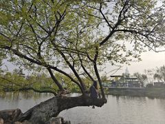 -玄武湖景区-情侣园游乐场