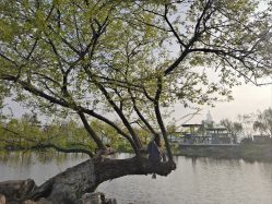 -玄武湖景区-情侣园游乐场