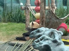 -大连森林动物园