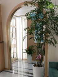 -雅曼妮spa美容养生