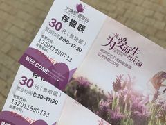 -大塘金香草谷