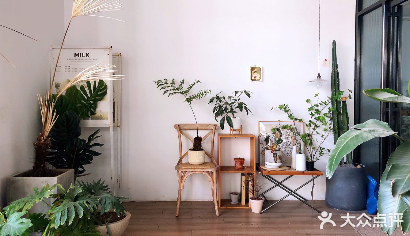 东城智慧小镇探店[加油]网红饮品店