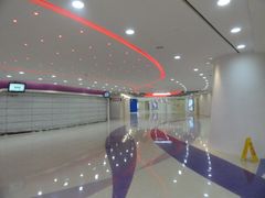 -宝能国际体育演艺中心