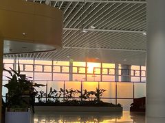-青岛胶东国际机场