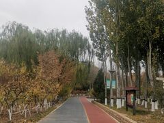 -大兴滨河森林公园