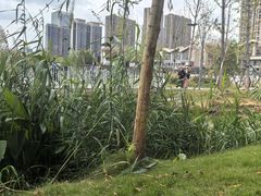 -趣小咖(溪悦荟店)