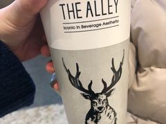 -鹿角巷The Alley(龙湖天街店)