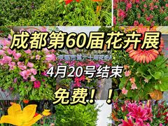-成都市文化公园