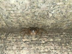 -狼山风景名胜区