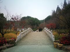 -苏州上方山国家森林公园