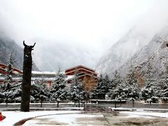 QQ图片20140319102458-九寨沟喜来登国际大酒店