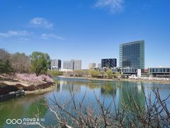 -大兴滨河森林公园