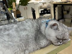 -Oasis绿洲银饰珍珠手作diy(壹方城店)