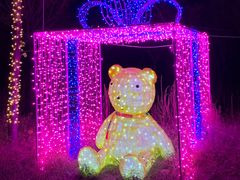 -北京鹿世界主题园