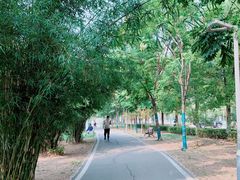 -金银湖国家城市湿地公园