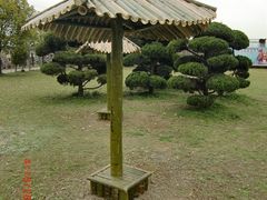 CIMG1735-苏州太湖西山岛开心农场