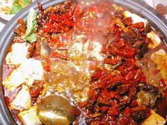 -探鱼·鲜青椒爽麻烤鱼(北京路天河城店)