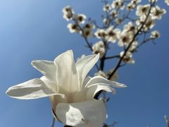 -钟山体育运动公园