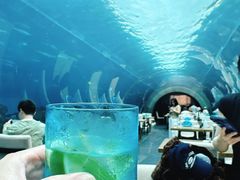 -海棠湾洲际-涛·海底餐厅·美人鱼·自助餐·海底隧道