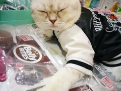 -吴山路夜市