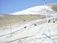 -祁连山·岗什卡雪峰景区