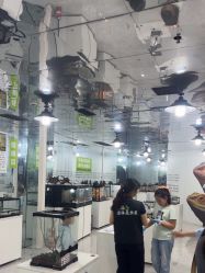 -神奇动物撸宠馆·羊驼·小浣熊·异宠(豫园店)