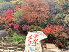 -龙道沟景区