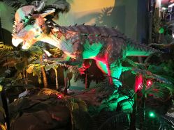 -恐龙探索乐园(磁器口店)