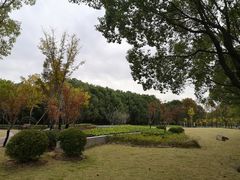 -华东政法大学(松江校区)