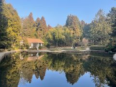 -庐山风景区花径公园