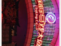 -灵玲国际马戏城