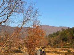 -塔川景区