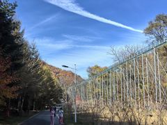 -参仙谷生态旅游度假区