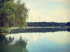 -溱湖国家湿地公园