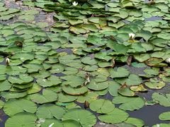 -天津东丽湖风景区