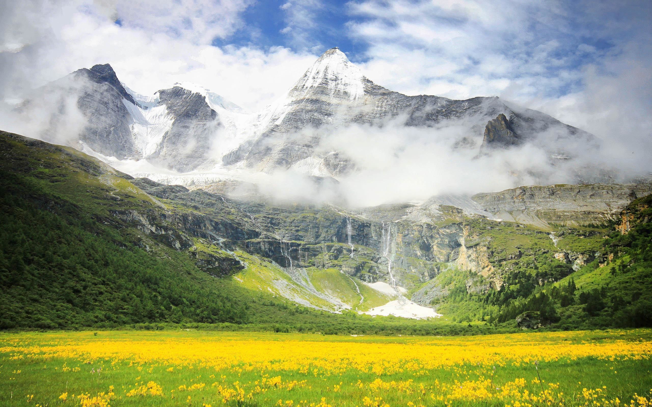 战斗中的默契配合