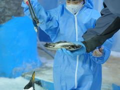 -海合安成都极地海洋公园