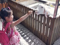 -上海大自然野生昆虫馆(东方明珠·爬宠昆虫探索中心)